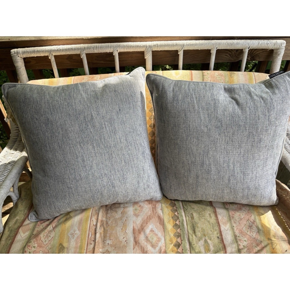 Casa Decor Velvet Pillows Set of 2 Gray Blue 18x18 Design On One Side